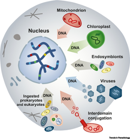 Lateral gene transfer, from Sibbald et al. 2020