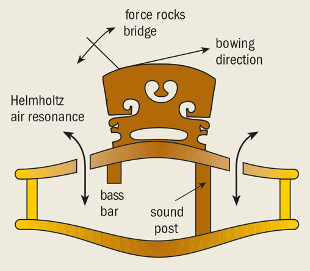 Violin playing action, internal view