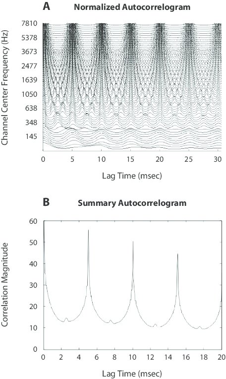 Autocorrelogram (top) and summary autocorrelogram (bottom)