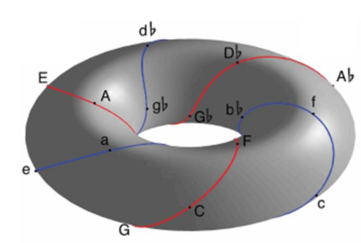 Representation of Key Areas on the Surface of a Torus